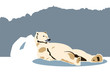 Polar bear