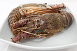 Photo: Lobster Lobster