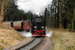 Foto: Die Brockenbahn Die Brockenbahn