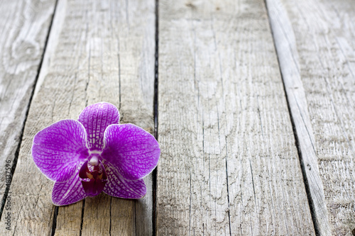 Photo: Orchid on wooden boards spa cosmetic abstract vintage background Orchid on wooden boards spa cosmetic abstract vintage background