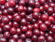 Photo: Cherry Cherry