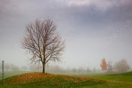 Photo: Autumn on the golf course in the mist at sunrise Autumn on the golf course in the mist at sunrise