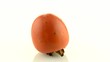 Red ripe persimmon
