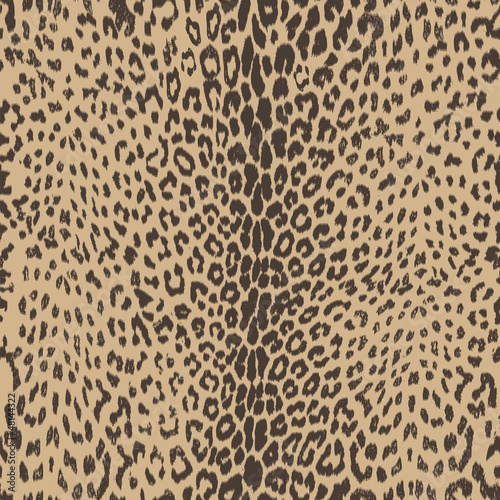 Vector: sexy leopard skin seamless background sexy leopard skin seamless background