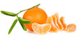 tangerine
