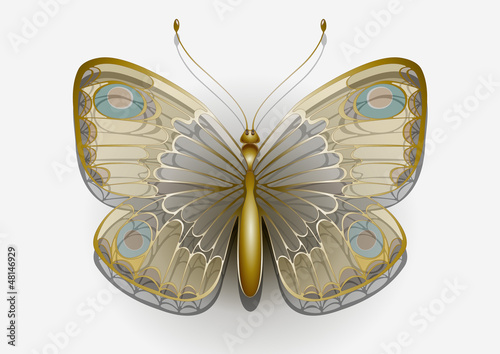 Vector: Delicate butterfly on a white background Delicate butterfly on a white background