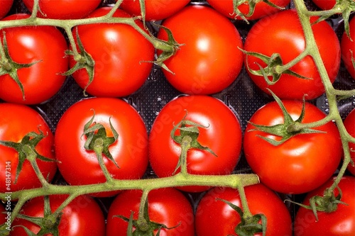 Photo: Tomatoes Package Tomatoes Package