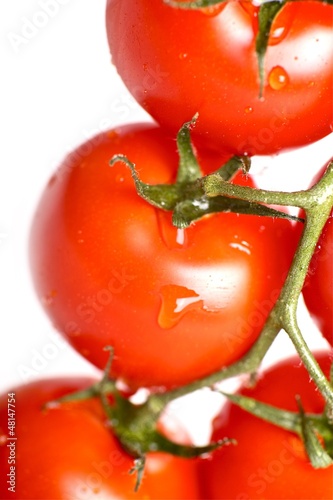 Photo: Tomatoes Freshness Tomatoes Freshness