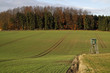 Kulturlandschaft mit Hochsitz