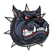 Black dog head