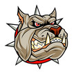 Angry dog head