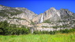 Yosemite falls with the meadow in the foreground.