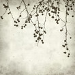 textured old paper background