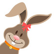 Easter Bunny Bow Diagonal