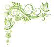 Frühling, frame, Blätter, Laub, Ranke, Grüntöne