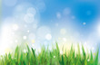 Vector: Vector of spring background, sky and grass. Vector of spring background, sky and grass.