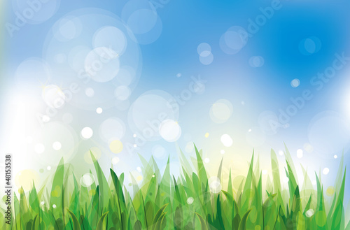 Vector: Vector of spring background, sky and grass. Vector of spring background, sky and grass.