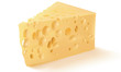 Cheese isolated on white. Vector illustration. Mesh