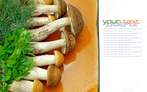 Photo: Forest mushrooms Forest mushrooms