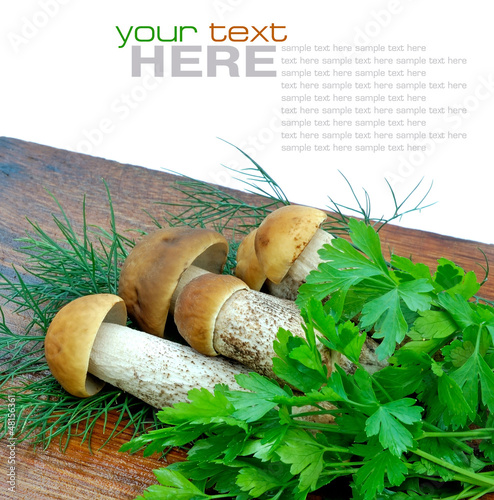 Photo: Forest mushrooms Forest mushrooms