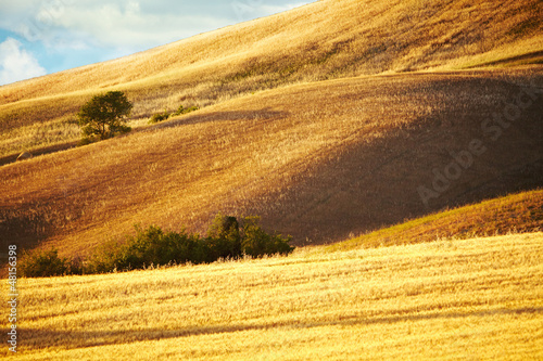 Photo: View of typical Tuscany landscape View of typical Tuscany landscape