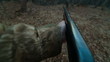 Male Hands With Shotgun In The Woods