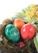 Osternest mit Textfreiraum