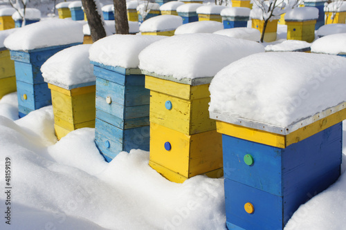 Photo: Colorful homes in winter Colorful homes in winter