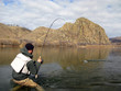 Photo: Fishing Fishing