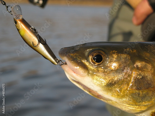 Photo: Fishing Fishing