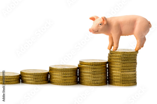 Photo: Schwein auf Münzstapel Schwein auf Münzstapel