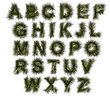 Alfabeto, agricoltura biologica, verde, ecologia, allevamento Alfabeto, agricoltura biologica, verde, ecologia, allevamento
