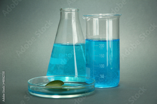 Photo: test-tubes and leaf tested in petri dish on grey background test-tubes and leaf tested in petri dish on grey background