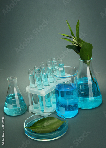 Photo: test-tubes and leaf tested in petri dish on grey background test-tubes and leaf tested in petri dish on grey background