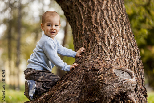 Photo: Little boy on the tree Little boy on the tree