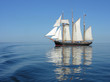 Albatros