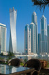 urban landscape in the morning