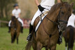 horse riding lesson