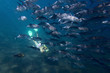 Underwater