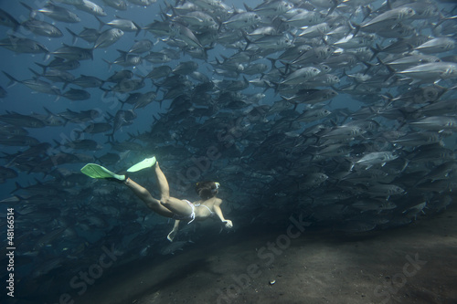 Photo: Underwater Underwater