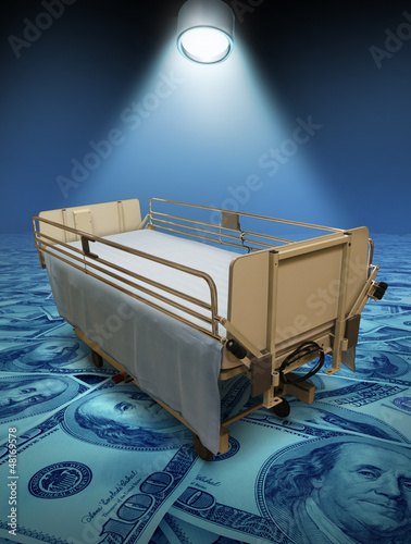 Illustration: Hospital Care Costs Hospital Care Costs