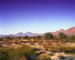 Desert Mountains