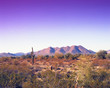 Desert Mountain
