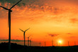 Wind farm