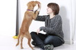 Jugendlicher spielt mit seinem Hund