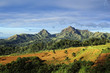 Asian Mountain Farm