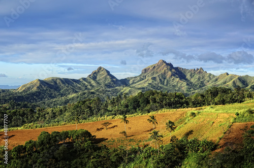 Photo: Asian Mountain Farm Asian Mountain Farm