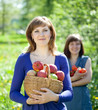 Happy girls with apples harvest