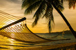 Foto: Hammock silhouette with palm trees on a beach at sunset Hammock silhouette with palm trees on a beach at sunset