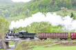 steam freight train (126.014), Resavica, Serbia